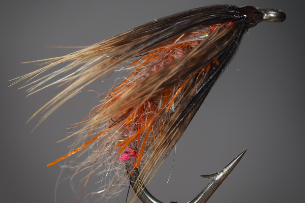 UV Caddis Nymph tied by @garrenwood Hook: Curved Nymph Body: Pink Floss used as a dubbing loop with Hareline's UV Hare's Ear and Fly Tyers Dungeon Orange Nymph Dubbing